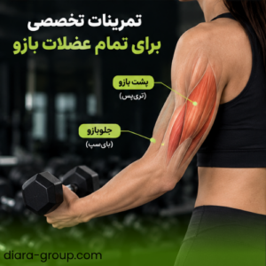 لاغری و رفع شلی و افتادگی بازو در باشگاه